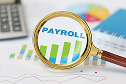 Fredericksburg payroll services